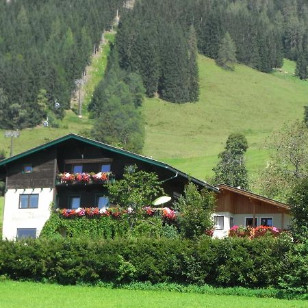 Ferienhaus Regina Werfenweng Exterior photo